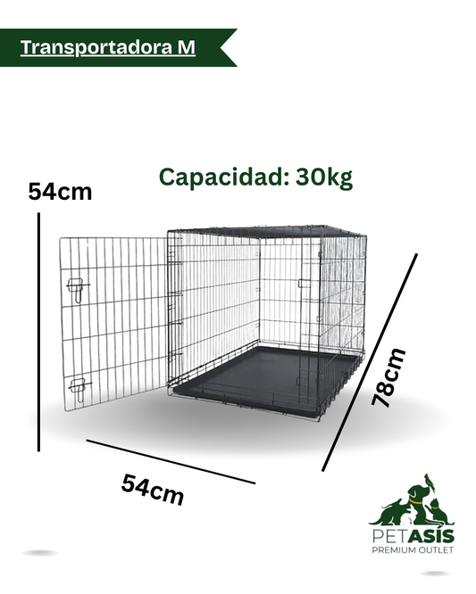 Transportadora Metálica Reforzada - Americana M (78x54x54)